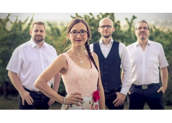 Voice'n Fun - Ihre Hochzeitsband aus Erfurt in Erfurt